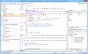 oXygen XML Developer screenshot 3