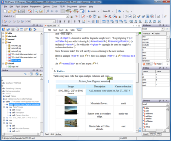 oXygen XML Editor and XSLT Debugger screenshot 2