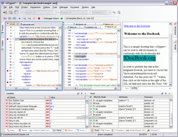 oXygen XML Editor and XSLT Debugger screenshot 3