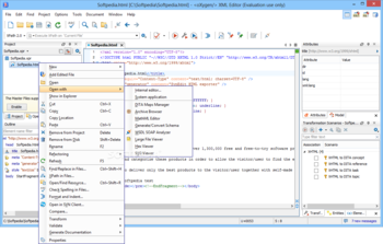 oXygen XML Editor screenshot