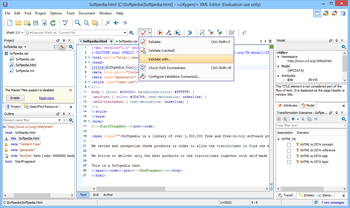 oXygen XML Editor screenshot 3