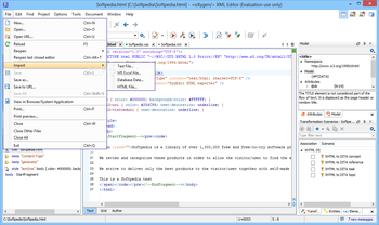 oXygen XML Editor screenshot 4