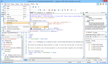 oXygen XML Editor screenshot 5