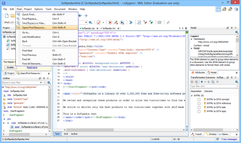 oXygen XML Editor screenshot 6