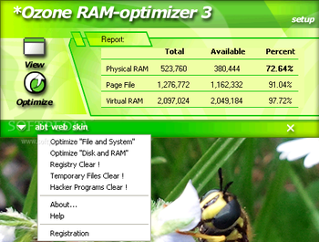 Ozone RAM Optimizer screenshot 4