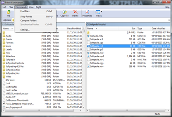 Pablo Commander screenshot 4