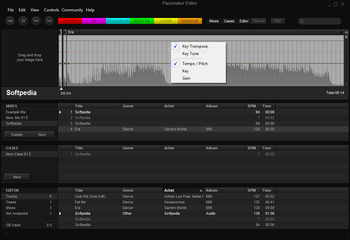 Pacemaker Editor screenshot