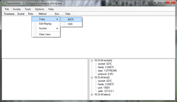 PacketEditor screenshot