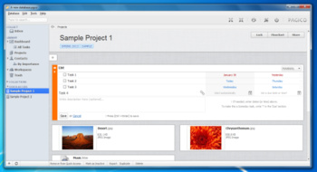 Pagico screenshot 3