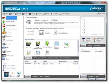 Palladium Accounting Individual screenshot
