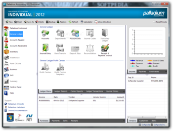 Palladium Accounting Individual screenshot 2