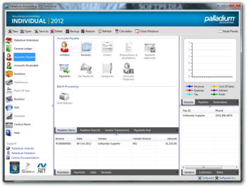 Palladium Accounting Individual screenshot 3