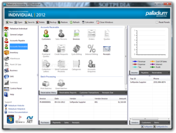 Palladium Accounting Individual screenshot 4