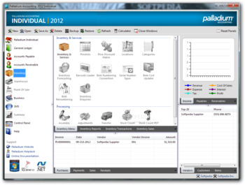 Palladium Accounting Individual screenshot 5