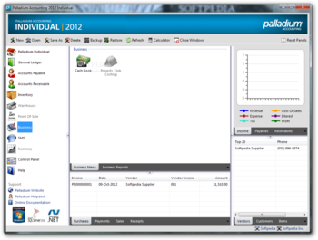 Palladium Accounting Individual screenshot 6