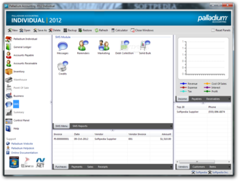Palladium Accounting Individual screenshot 7