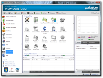Palladium Accounting Individual screenshot 8