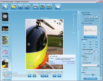 Panaglobe Watermarker screenshot