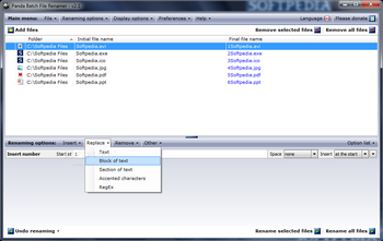 Panda Batch File Renamer screenshot 3