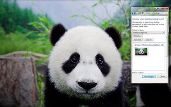 Panda screenshot