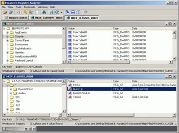 Paraben's Registry Analyzer screenshot 2