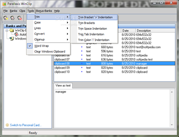 Parallaxis Winclip screenshot 4