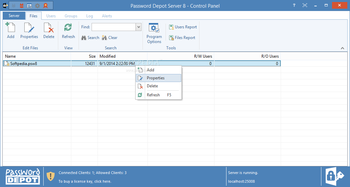Password Depot Server screenshot 2