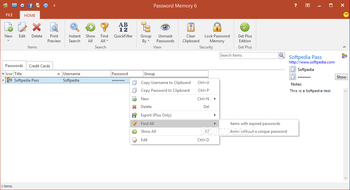 Password Memory screenshot