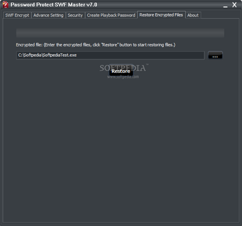 Password Protect SWF Master screenshot 5