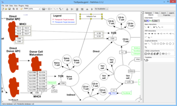 PathVisio screenshot
