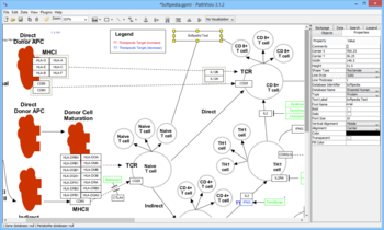 PathVisio screenshot 2