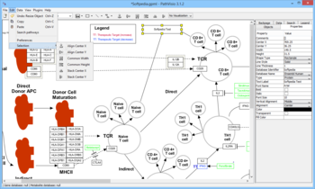PathVisio screenshot 3