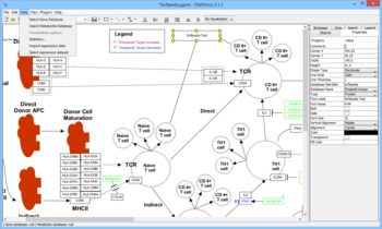 PathVisio screenshot 4