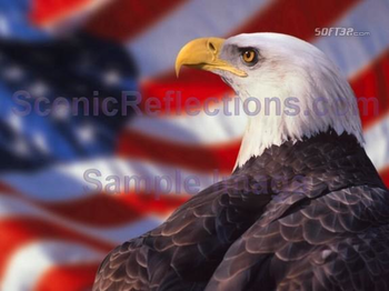 Patriotic Screen Saver screenshot