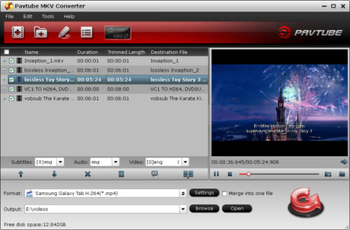 Pavtube MKV Converter screenshot 2