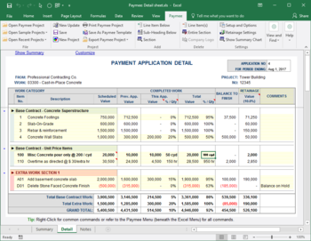 Payment Application Made Easy for Excel screenshot 2