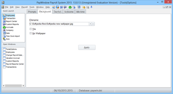 PayWindow Payroll System screenshot 21