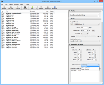 Pazera Free Audio Extractor screenshot 5