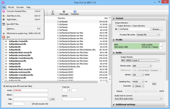 Pazera Free FLV to MP3 Converter screenshot 4