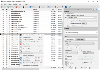 Pazera Free MP4 Video Converter screenshot 2