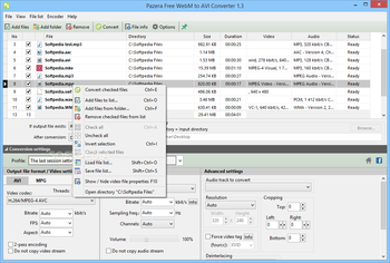 Pazera Free WebM to AVI Converter screenshot 2