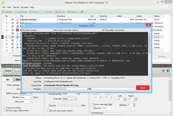Pazera Free WebM to AVI Converter screenshot 6