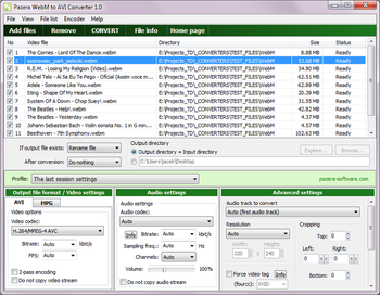 Pazera WebM to AVI Converter screenshot