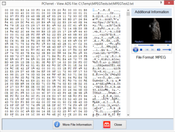 PCFerret screenshot 2