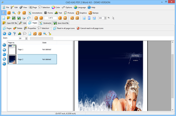 PDF 2 Word screenshot 3