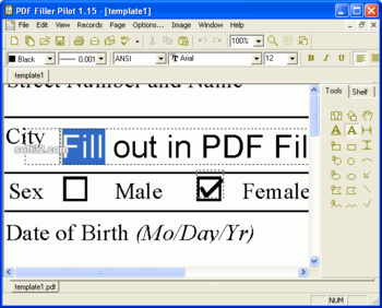 PDF Filler Pilot screenshot