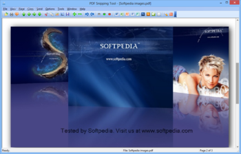 PDF Snipping Tool screenshot