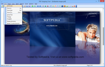 PDF Snipping Tool screenshot 2