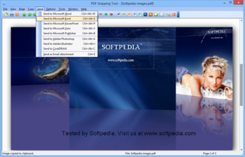 PDF Snipping Tool screenshot 4