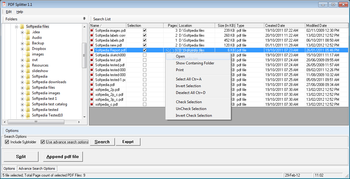 PDF Splitter screenshot 2